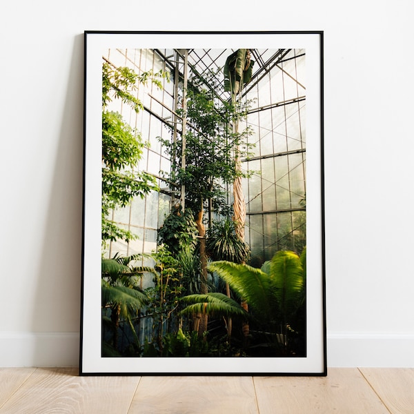 Greenhouse Oasis Giclée Print, Fine Art Photography, Botanical Symphony, Verdant Haven Wall Art Large Size