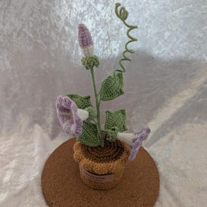 Peut inclure: Une fleur de gloire du matin en crochet dans un pot brun avec une étiquette "Handmade". La fleur est blanche et violette avec des feuilles vertes et une vrille bouclée.