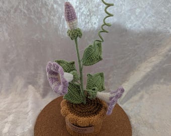 Crocheted Lilac Morning Glory Plant in Pot | Handmade Crochet Flower | Unique Home Decor | September Birth Flower | Gift for Plant Lovers