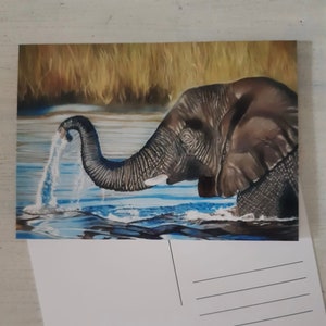 Postkarte mit Elefantenmotiv