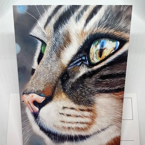 Postkarte mit Portrait einer Katze