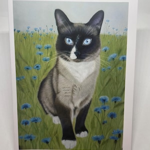 Grußkarte Katze