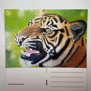 Postkarte mit Tigermotiv