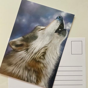 Postkarte Wolf