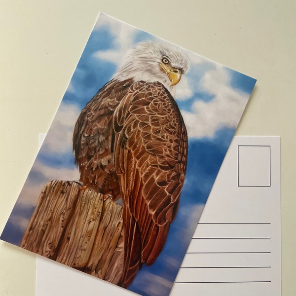 Postkarte Adler