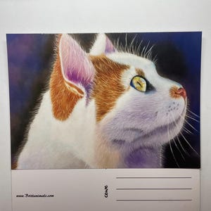Postkarte mit Katzenmotiv