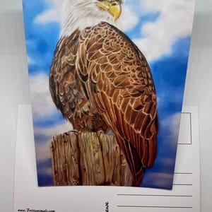 Postkarte Adler