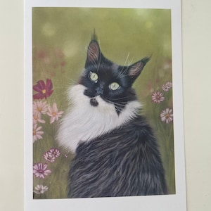 Grußkarte Katze