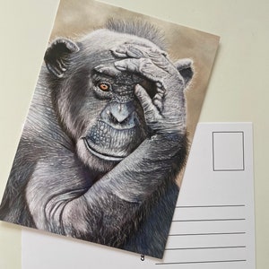 Postkarte Schimpanse