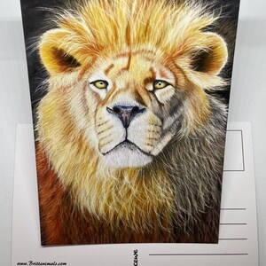 Postkarte mit Löwenmotiv