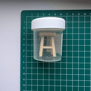 Peut inclure: Un petit chevalet en bois &agrave; l'int&eacute;rieur d'un r&eacute;cipient en plastique transparent avec un couvercle blanc. Le r&eacute;cipient est pos&eacute; sur un tapis de d&eacute;coupe vert avec des lignes de quadrillage et des chiffres.