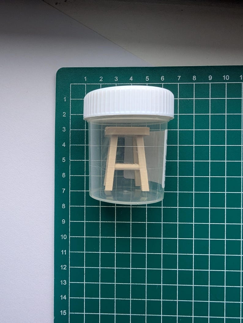 Peut inclure: Un petit chevalet en bois &agrave; l'int&eacute;rieur d'un r&eacute;cipient en plastique transparent avec un couvercle blanc. Le r&eacute;cipient est pos&eacute; sur un tapis de d&eacute;coupe vert avec des lignes de quadrillage et des chiffres.
