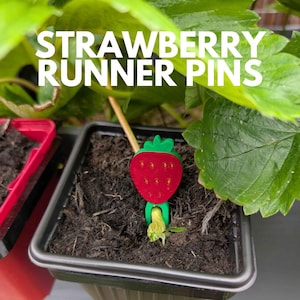 May include: A strawberry runner pin, featuring a red strawberry design with green leaves, is inserted into a small black pot of soil. The text "STRAWBERRY RUNNER PINS" is in white. Green leaves are in the background.