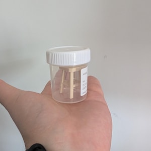 Peut inclure: Un r&eacute;cipient transparent en plastique pour sp&eacute;cimens avec un couvercle blanc &agrave; visser. Le r&eacute;cipient porte une &eacute;tiquette avec les mots "NAME", "No.", "D.O.B.", "DATE" et "SINGLE". &Agrave; l'int&eacute;rieur, une petite structure en bois.