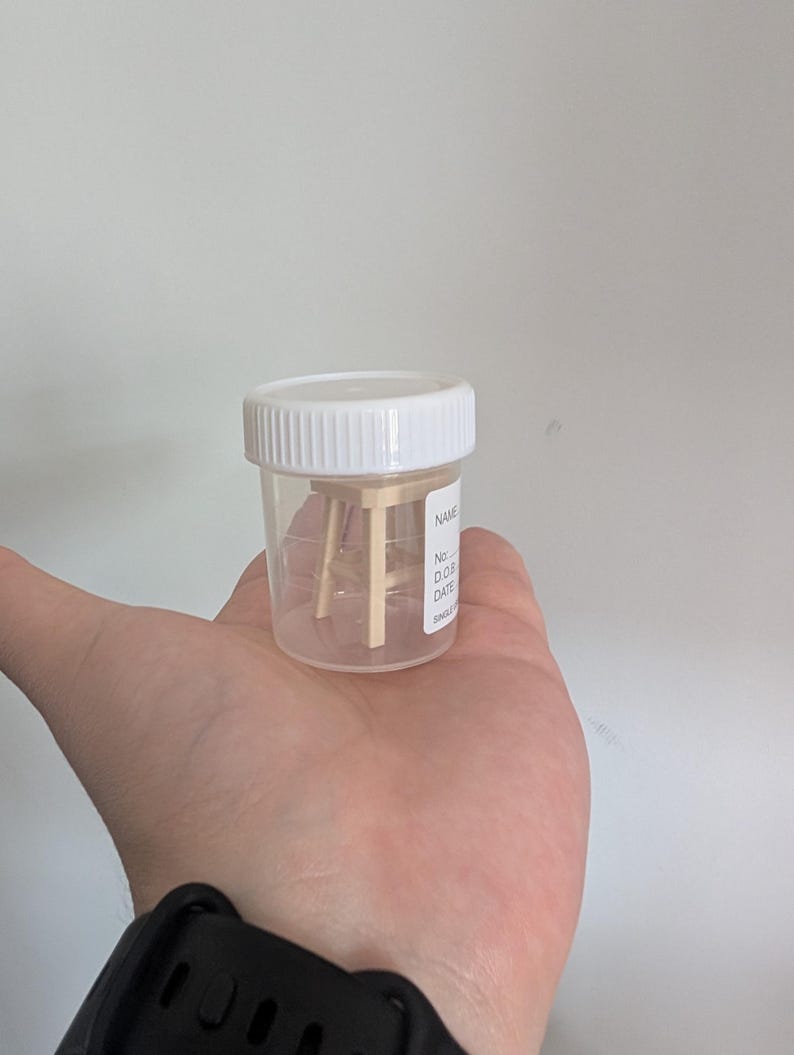 Peut inclure: Un r&eacute;cipient transparent en plastique pour sp&eacute;cimens avec un couvercle blanc &agrave; visser. Le r&eacute;cipient porte une &eacute;tiquette avec les mots "NAME", "No.", "D.O.B.", "DATE" et "SINGLE". &Agrave; l'int&eacute;rieur, une petite structure en bois.