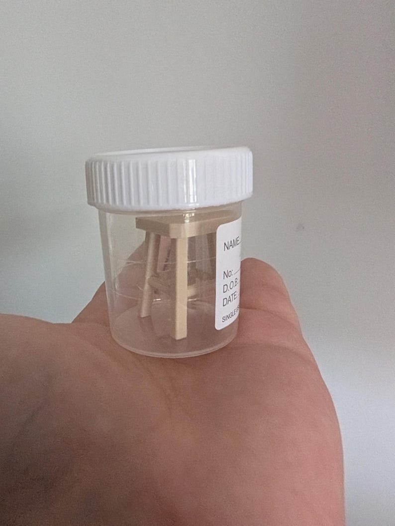 Peut inclure: Un petit tabouret en bois est contenu dans un bocal en plastique transparent avec un couvercle blanc. Le bocal porte une &eacute;tiquette avec les mots "NAME", "No:", "D.O.B", "DATE" et "SINGLE". Le tabouret a une assise carr&eacute;e et quatre pieds.