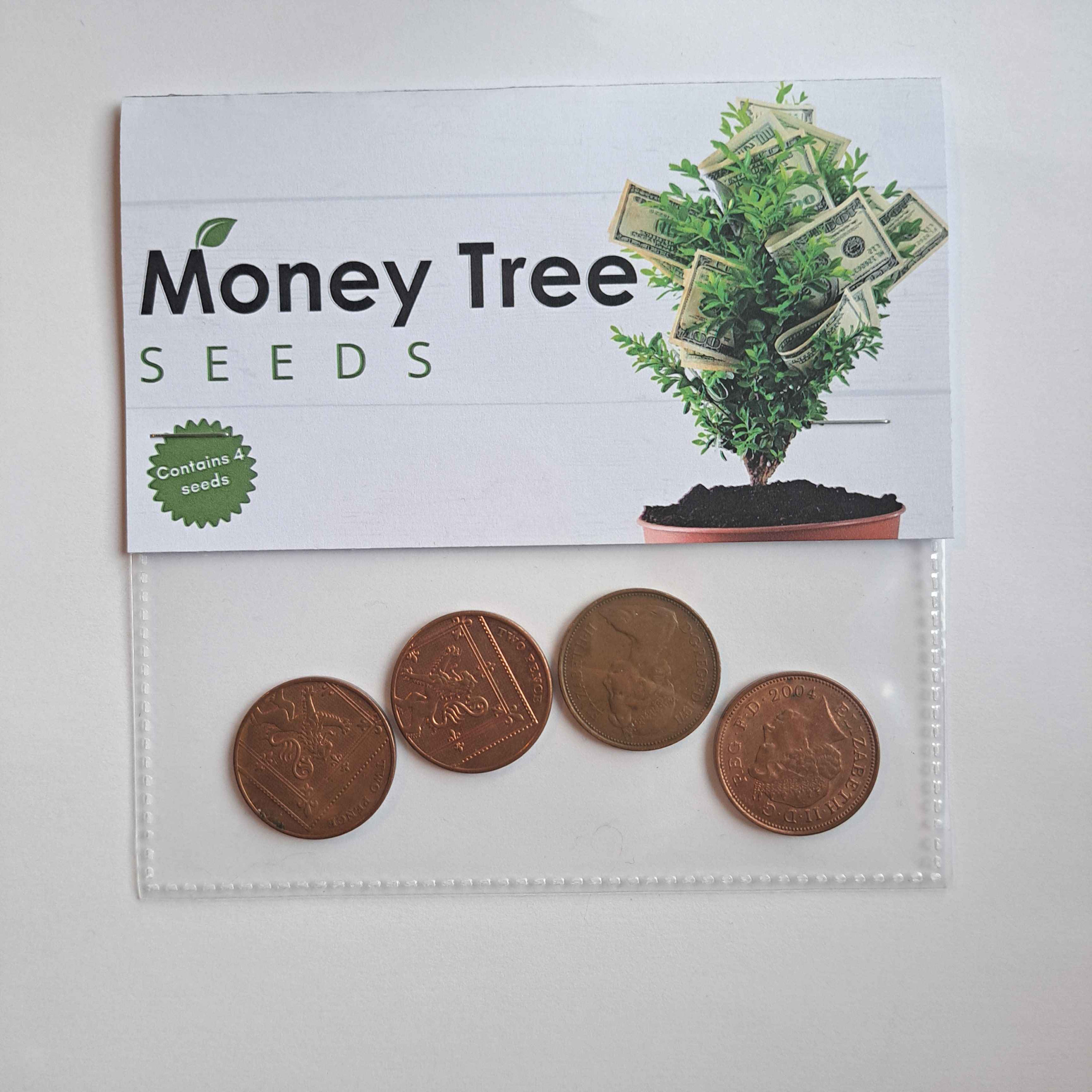 Money Tree Seeds Novelty Gift: Funny Gag Gift - Etsy