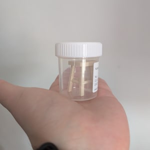 Peut inclure: Un petit tabouret en bois &agrave; l'int&eacute;rieur d'un r&eacute;cipient en plastique transparent avec un couvercle blanc. Le r&eacute;cipient est tenu dans une main sur un fond blanc. Le tabouret a quatre pieds et une assise.