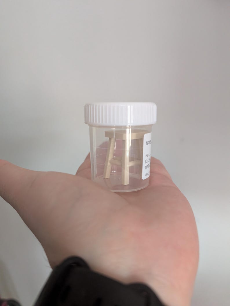 Peut inclure: Un petit tabouret en bois &agrave; l'int&eacute;rieur d'un r&eacute;cipient en plastique transparent avec un couvercle blanc. Le r&eacute;cipient est tenu dans une main sur un fond blanc. Le tabouret a quatre pieds et une assise.