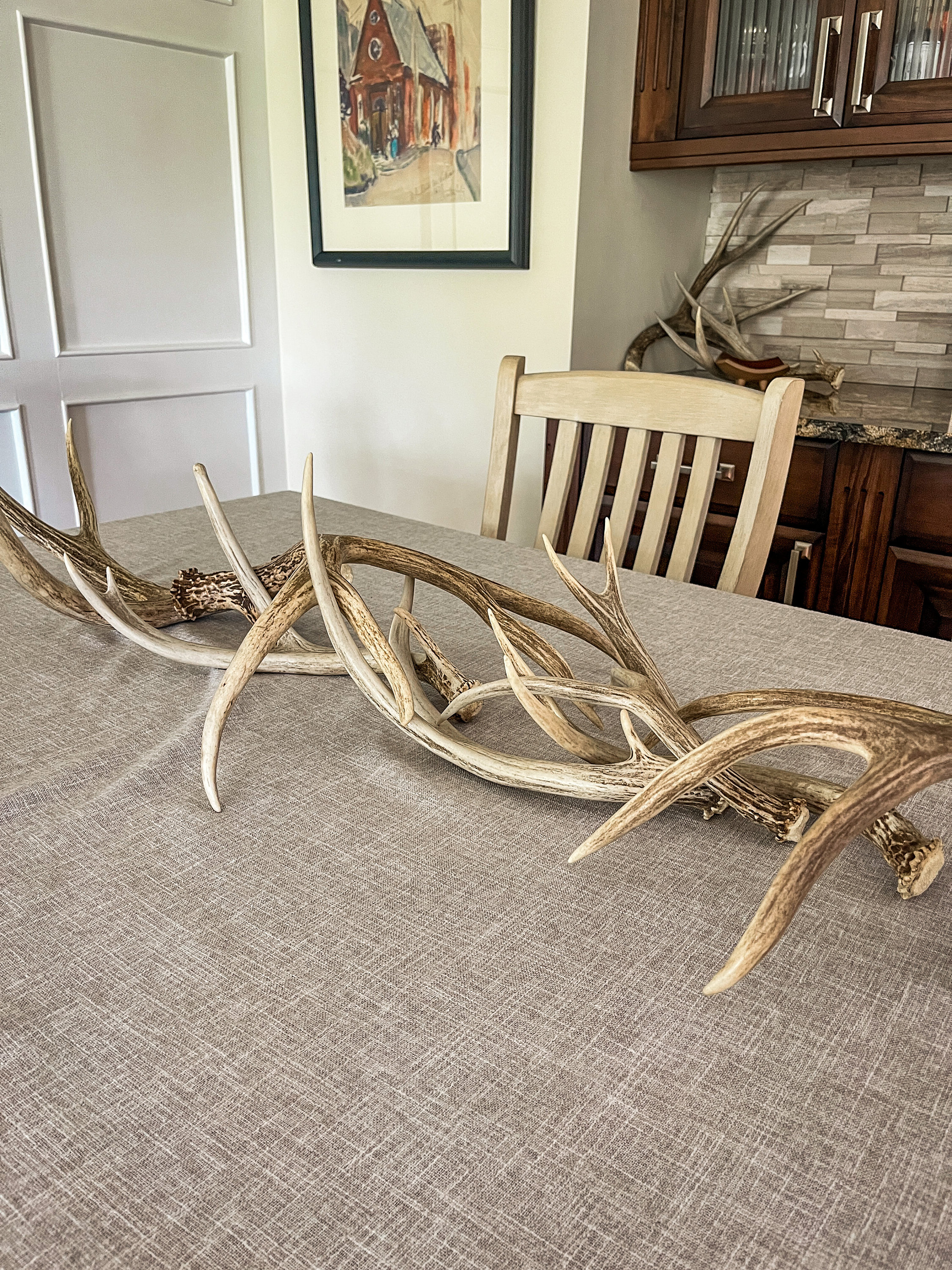 Natural Mule Deer Antlers. FRESH Finds, ANY SIZE. Crafting. Decor