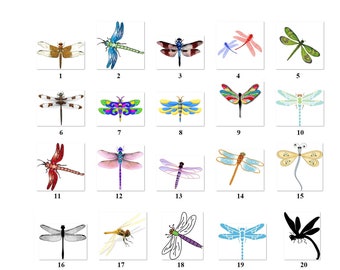 80 Small Personalized Return Address Labels Dragonfly (re 1)