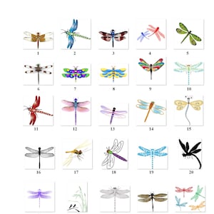 80 Small Personalized Return Address Labels Dragonfly (re 1)