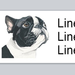 May include: A black and white French Bulldog with a white chest and a black nose looking to the right. The text "Line 1", "Line 2", and "Line 3" is printed below the dog.