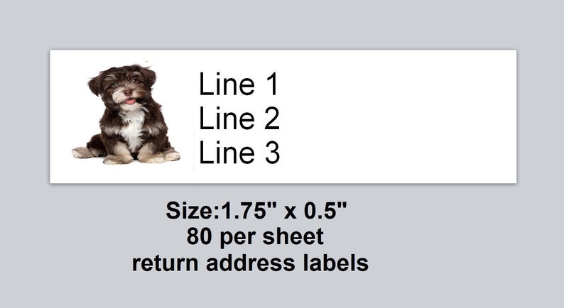 80 Small Personalized Return Address Labels Cute Dog Puppy (re 61) - Etsy