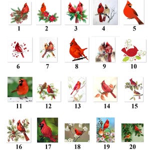 May include: Twenty digital illustrations of red cardinals in various poses and settings. The cardinals are depicted on branches, with berries, and in snowy landscapes.