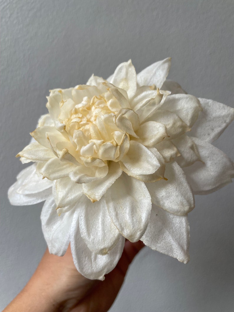 Wafer Paper Flower Dahlia Etsy