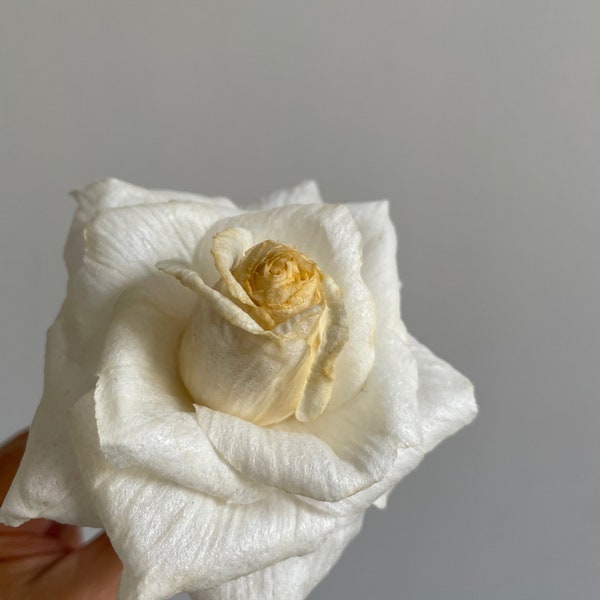 Wafer Paper Rose