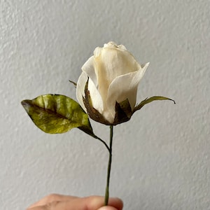 Wafer Paper Buds