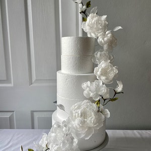 Collezione di Cake Design