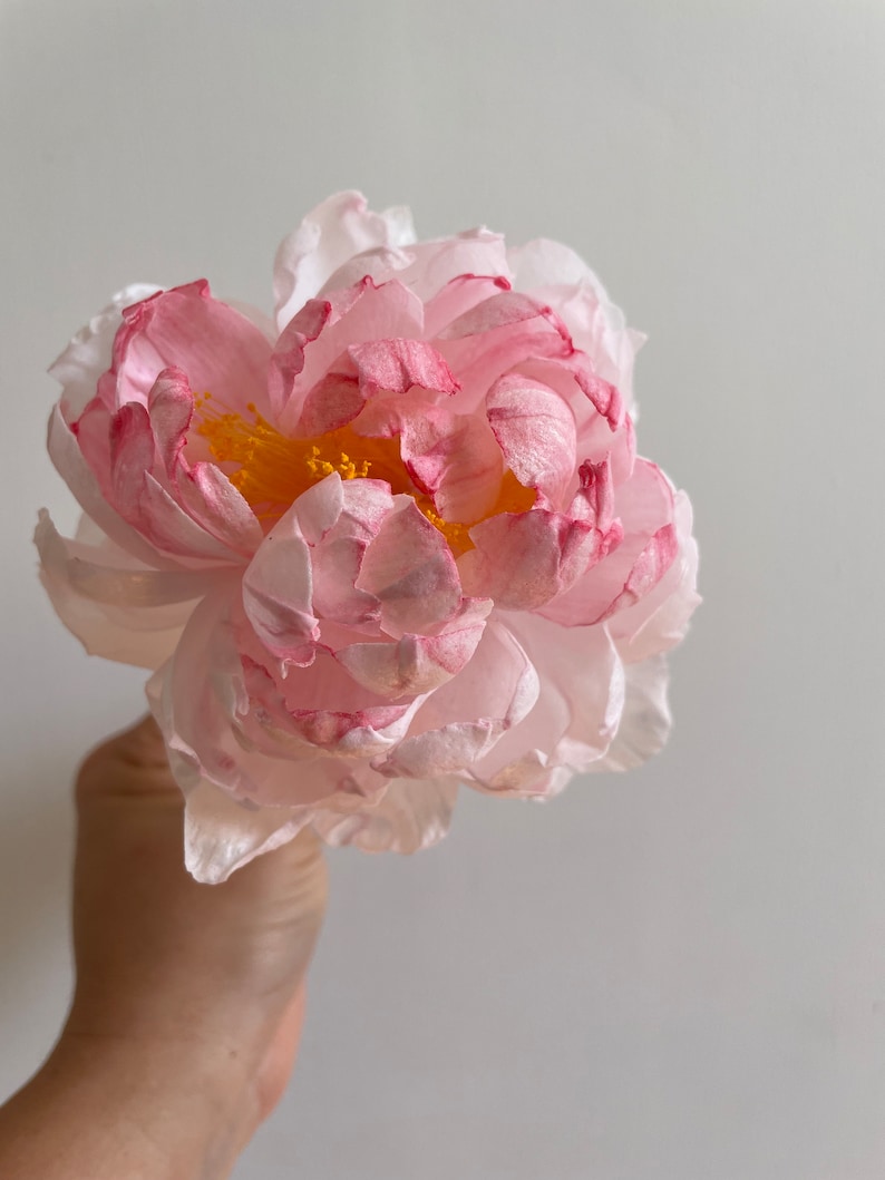 Wafer Paper Flower Peony Etsy