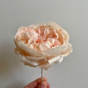 Wafer Paper Flower David Austin Rose