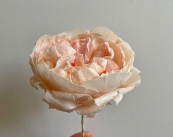 Wafer Paper Flower David Austin Rose