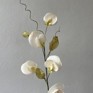 Ramo di fiori di carta velina, piselli odorosi
