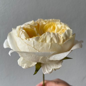 Wafer Paper Flower David Austin Rose