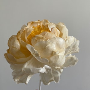 Fiore di carta velina Peonia