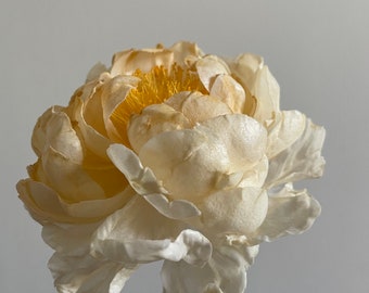 Wafer Paper Flower Peony