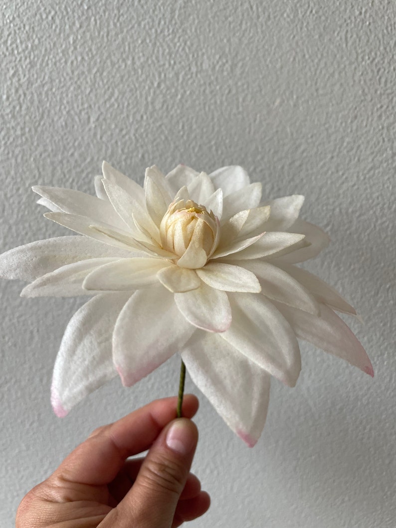 Wafer Paper Flower Dahlia Etsy