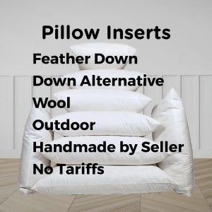 Pillow Insert Feather Down Alternative Outdoor Wool Custom Size Throw Cushion Filling