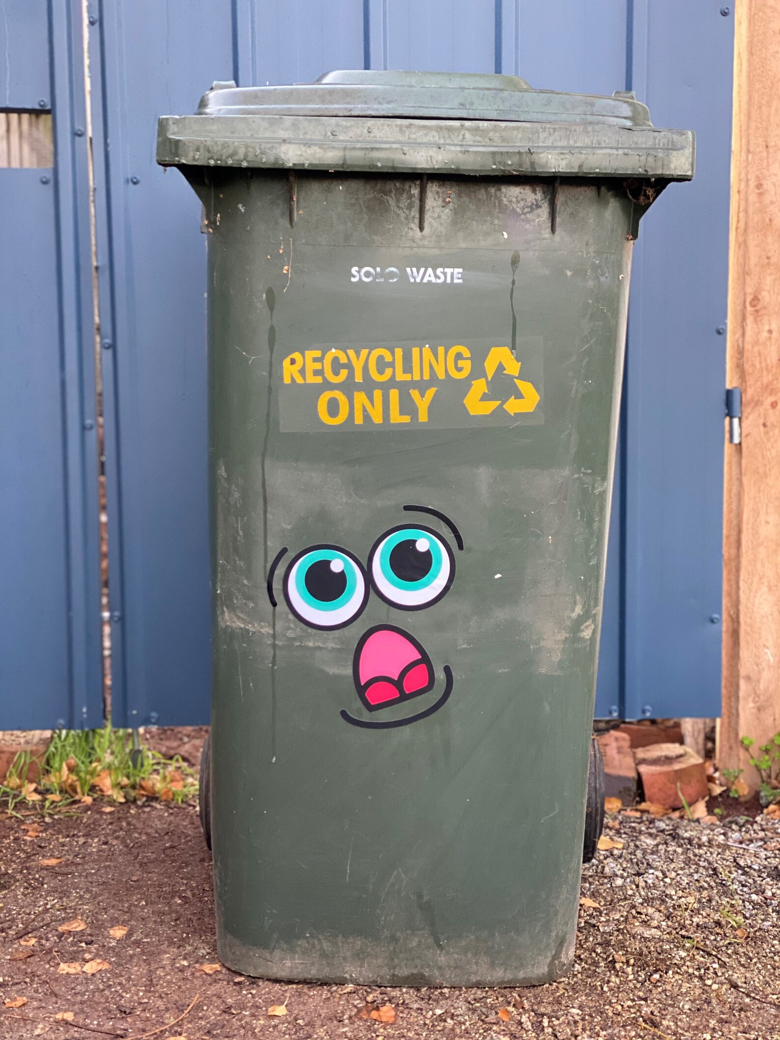 Funny Face Sticker great for wheelie bins. Etsy