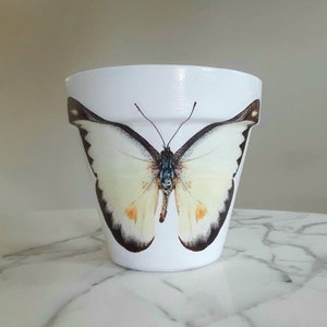 Schmetterling Tontopf-6 Zoll, Schmetterling Blumentopf, Schmetterling Geschenk, Tier Pflanzentopf, Natur Dekor, Indoor Pflanzer, Decoupage Topf, Schmetterlinge