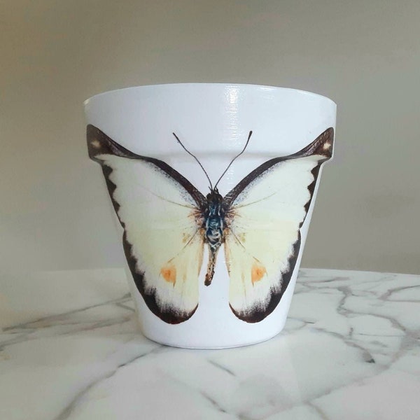 Butterfly clay pot-6 inch, Butterfly flower pot, Butterfly gift, Animal plant pot, Nature decor, Indoor planter, Decoupage pot, Butterflies