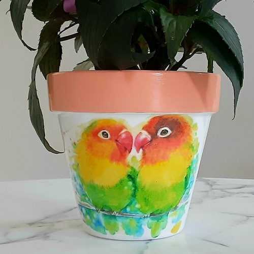 Parrot Flowerpot6 Inch Parrot Gifts Parrots Tropical Bird Etsy