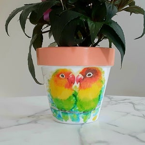 Parrot flowerpot-6 inch, Parrot gifts, Parrots, Tropical bird gifts, Tropical plant pot, Tropical decor, Bright home decor, Decoupage