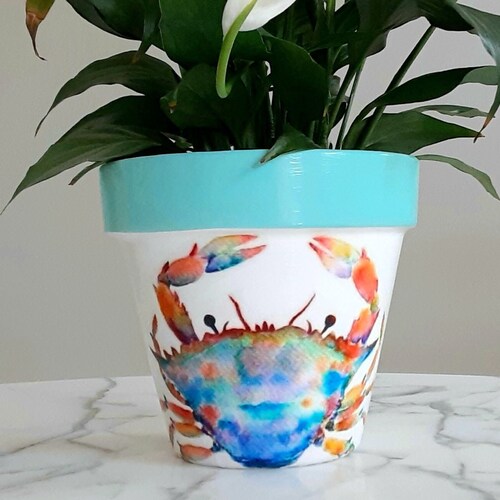 Blue Crab Flowerpot6 Blue Crab Clay Pot Crab Gift Etsy
