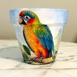 Maceta de loro de 15 cm, regalos para loros, macetas tropicales, regalo para amantes de las aves, maceta de interior, maceta de decoupage, loros, macetas para pájaros tropicales, guacamayo