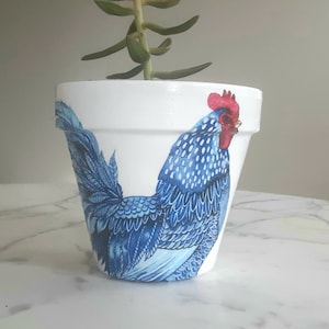 May include: White ceramic planter featuring a blue and white rooster design. A small green succulent plant is growing in the planter.